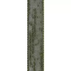 Flame Mesh Ribbon By Berisfords 16mm 