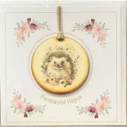 Welsh Language Birthday Card With Wooden Hedgehog Design Plaque