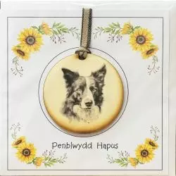 Welsh Language Happy Birthday ribbon with wooden collie design plaque
