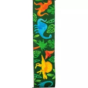 25mm Dinosaur Ribbon Ideal 