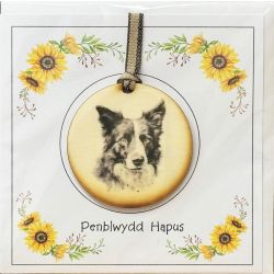 Welsh Language Happy Birthday ribbon with wooden collie design plaque
