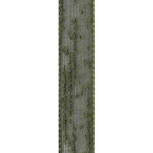 Flame Mesh Ribbon By Berisfords 16mm 